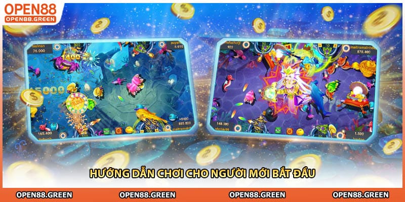 Hướng dẫn chơi cho người mới bắt đầu